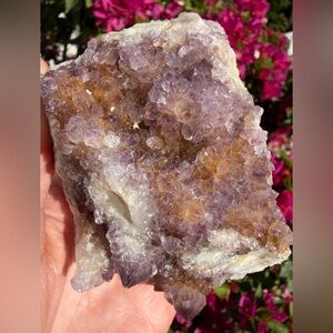 Ametrine Spirit Quartz Crystal